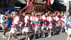 ギャル神輿 Gal mikoshi