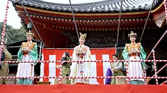 神戸まつり（サンバ）